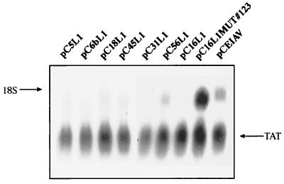 FIG. 11.