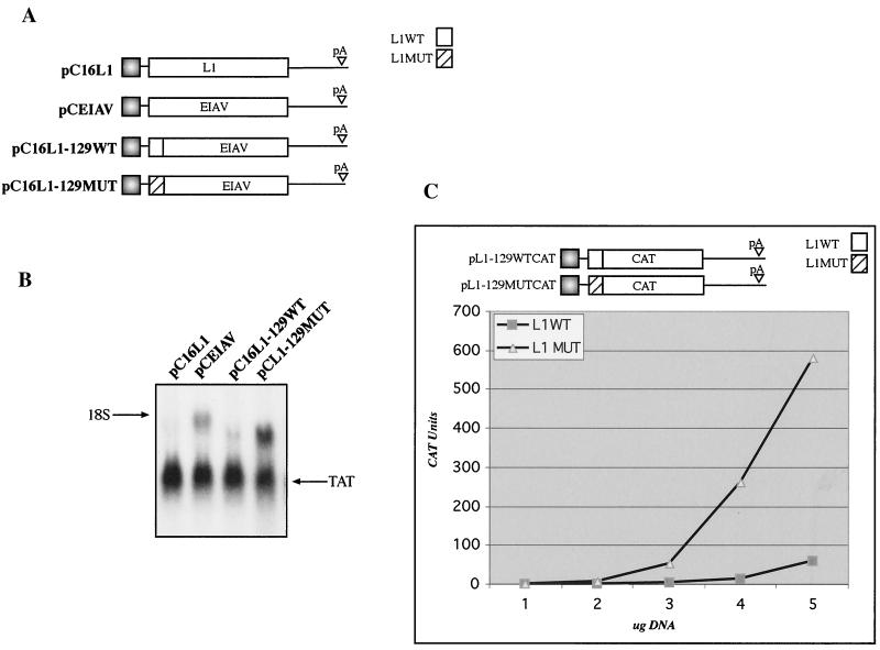 FIG. 8.