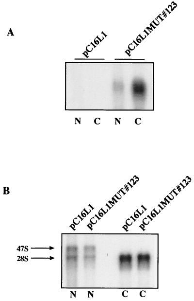 FIG. 9.