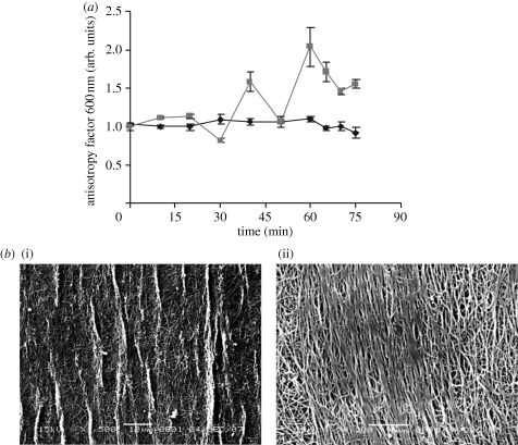 Figure 5.