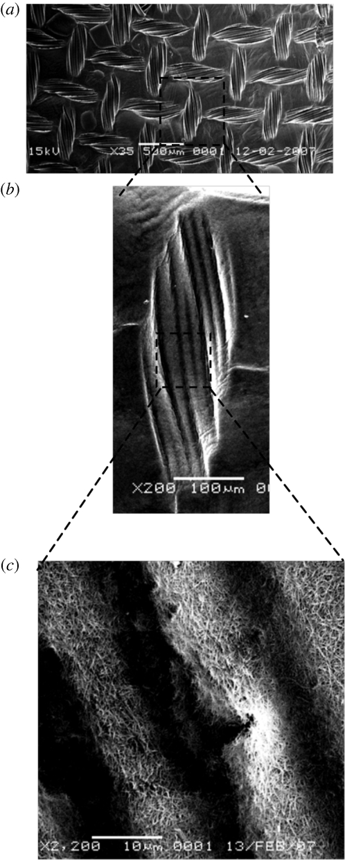 Figure 1.