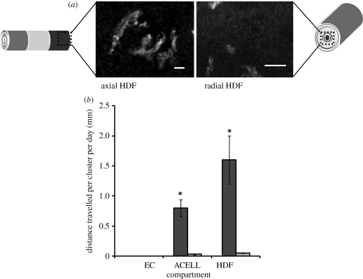 Figure 6.