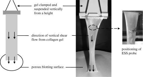 Figure 2.