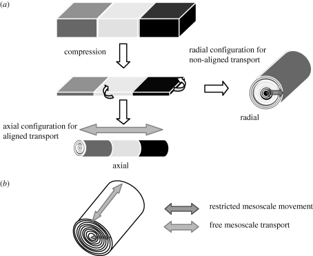 Figure 3.