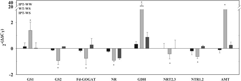 Figure 5.