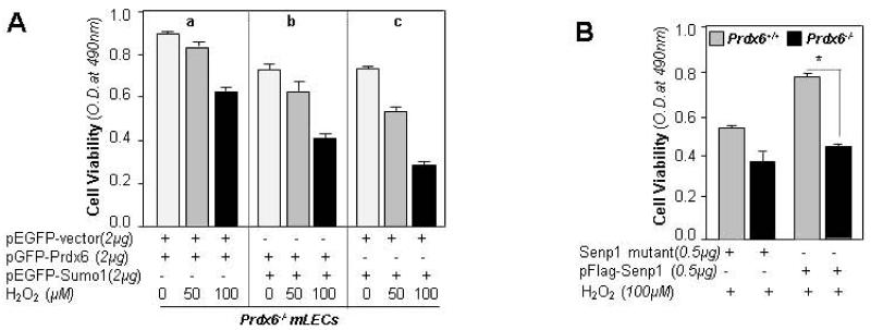 Fig. 13