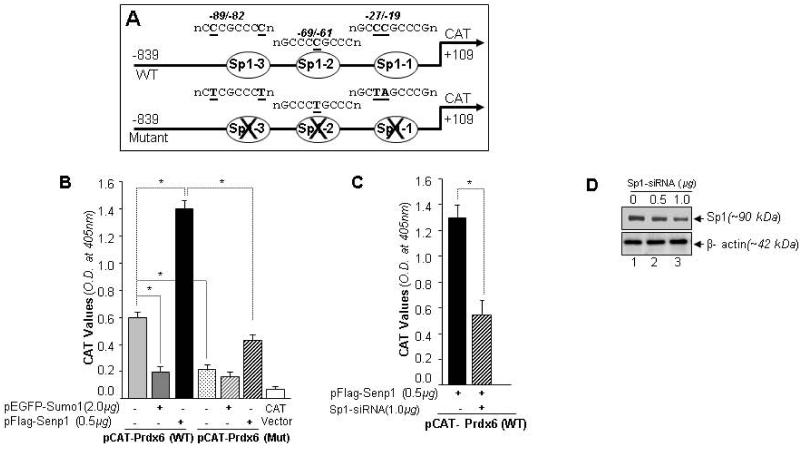 Fig. 11