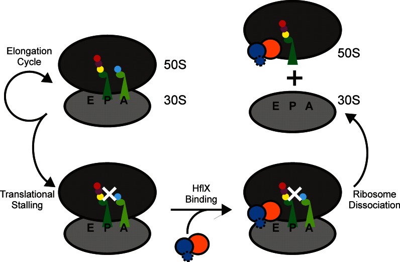 Figure 7.