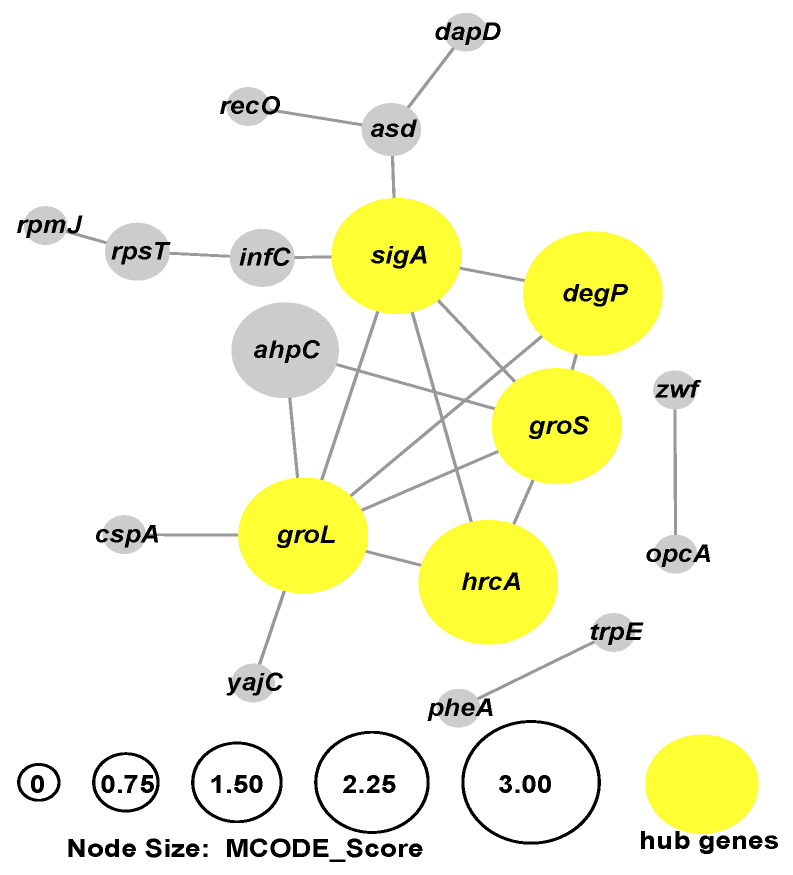 Figure 5