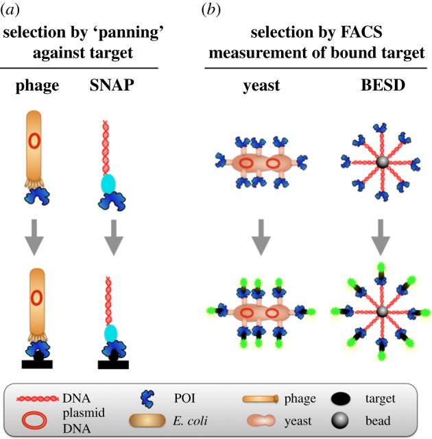 Figure 2.