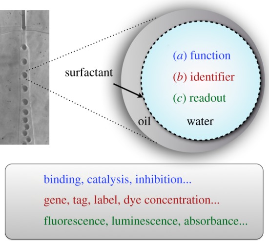 Figure 1.