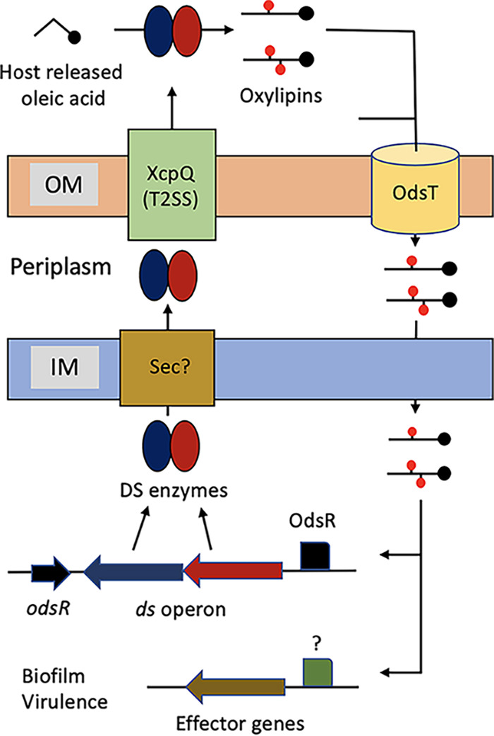 FIG 5