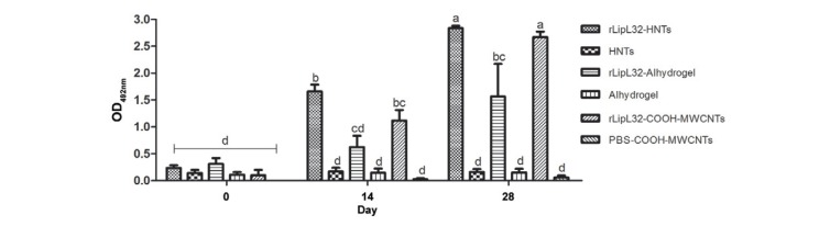 IgG immune response stimulated by LipL32 recombinant protein (rLipL32)
associated with halloysite clay nanotubes (HNTs), carboxyl-functionalised carbon
nanotubes (COOH-MWCNTs) or Alhydrogel adjuvant determined by ELISA. Values are
presented as means ± standard error of the means of two independent experiments.
Letters represent a difference between groups (p < 0.05). Samples were analysed
in triplicate. OD: optical density; PBS: phosphate-buffered saline. 