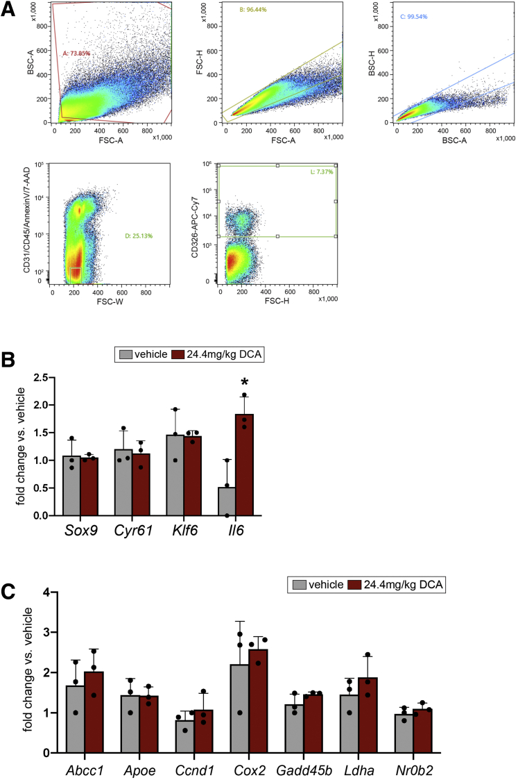 Figure 13