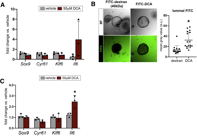 Figure 14