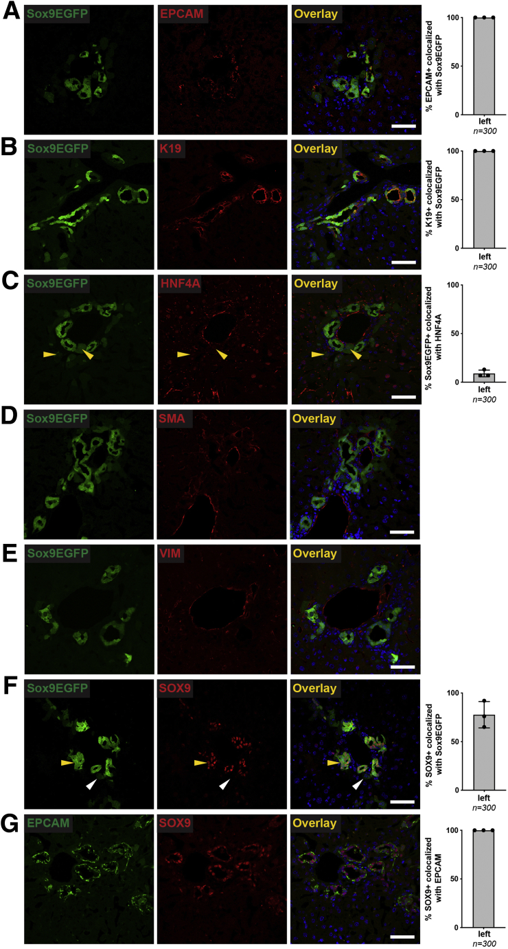 Figure 15