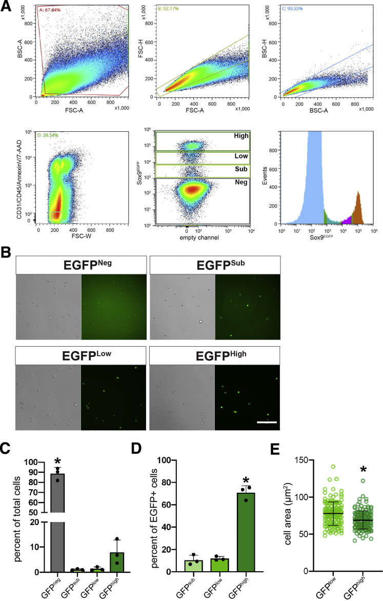 Figure 6