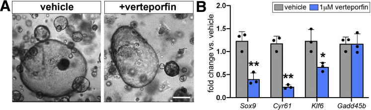 Figure 12