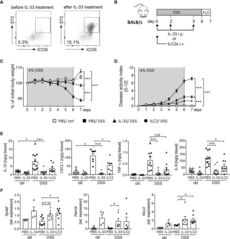 Figure 6