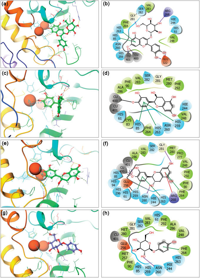 Figure 2