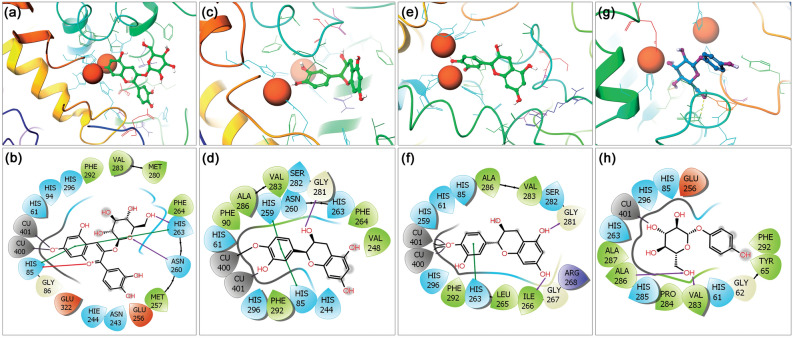 Figure 4