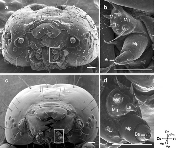 Fig. 3