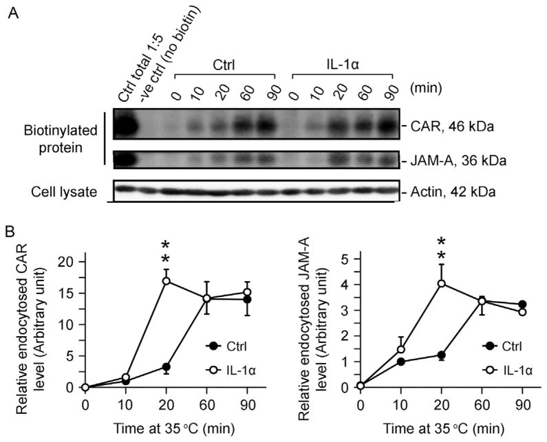 Figure 10.2