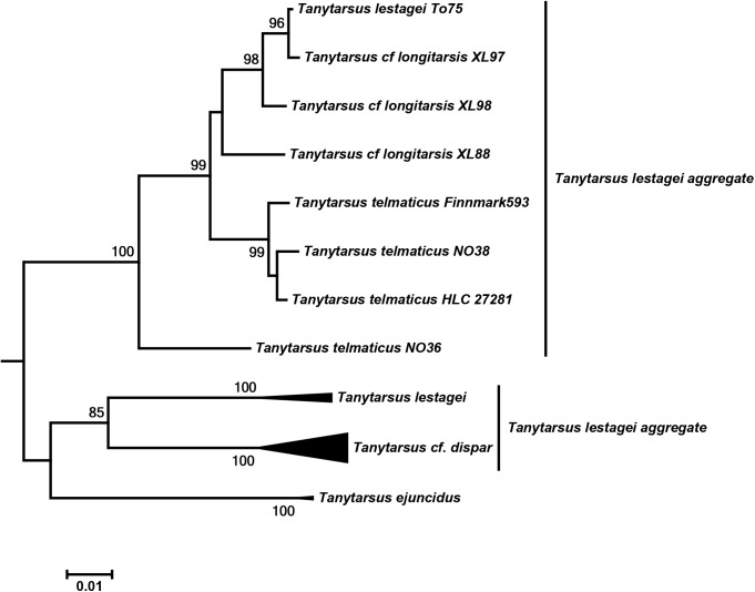 Fig 11