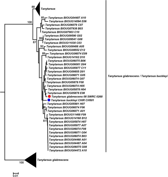 Fig 10