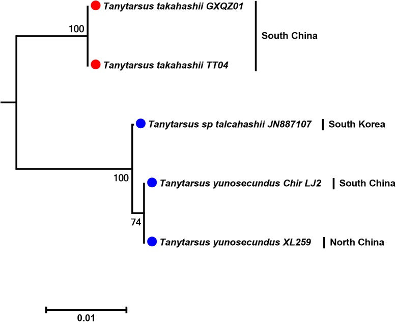 Fig 12