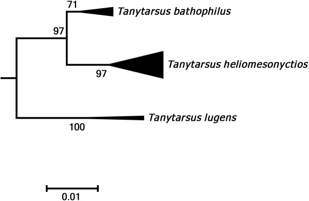 Fig 5