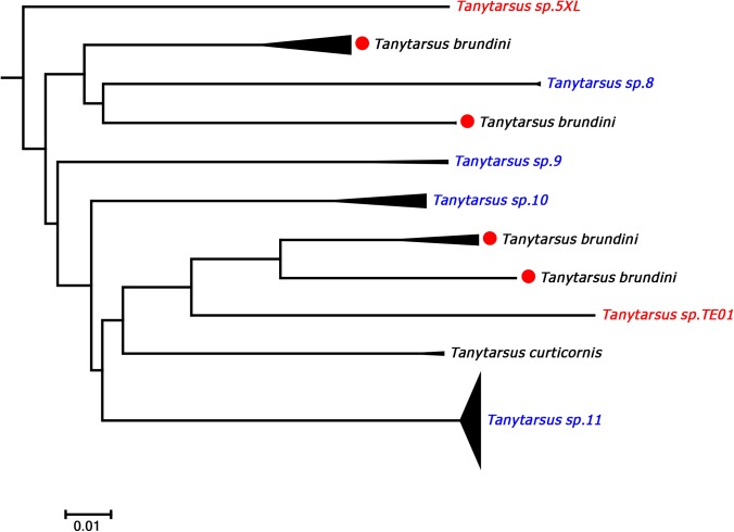 Fig 6