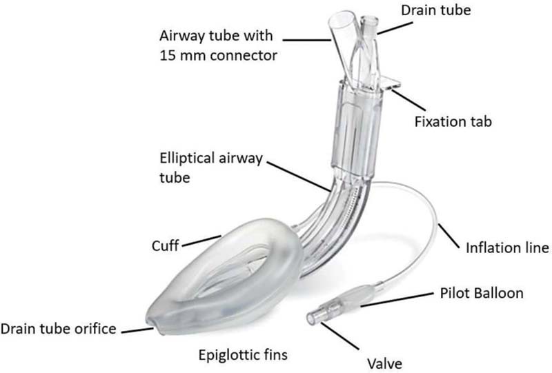 Proficiency of Laryngeal Mask Airway Insertion Skill in NRP Certified ...