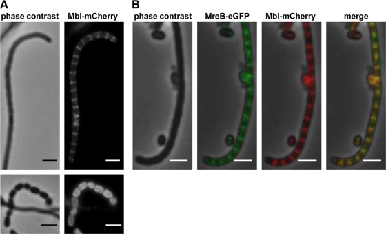 FIG. 6.