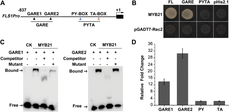 Fig. 4.