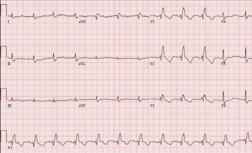 Figure 1)