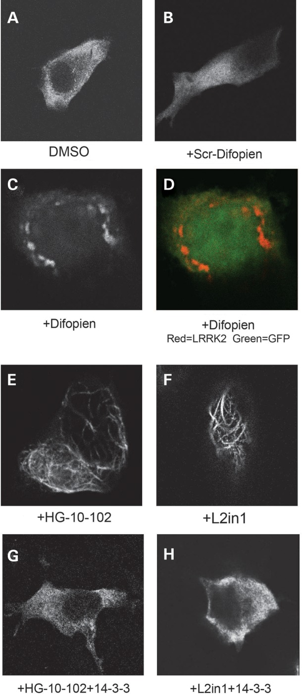 Figure 4.