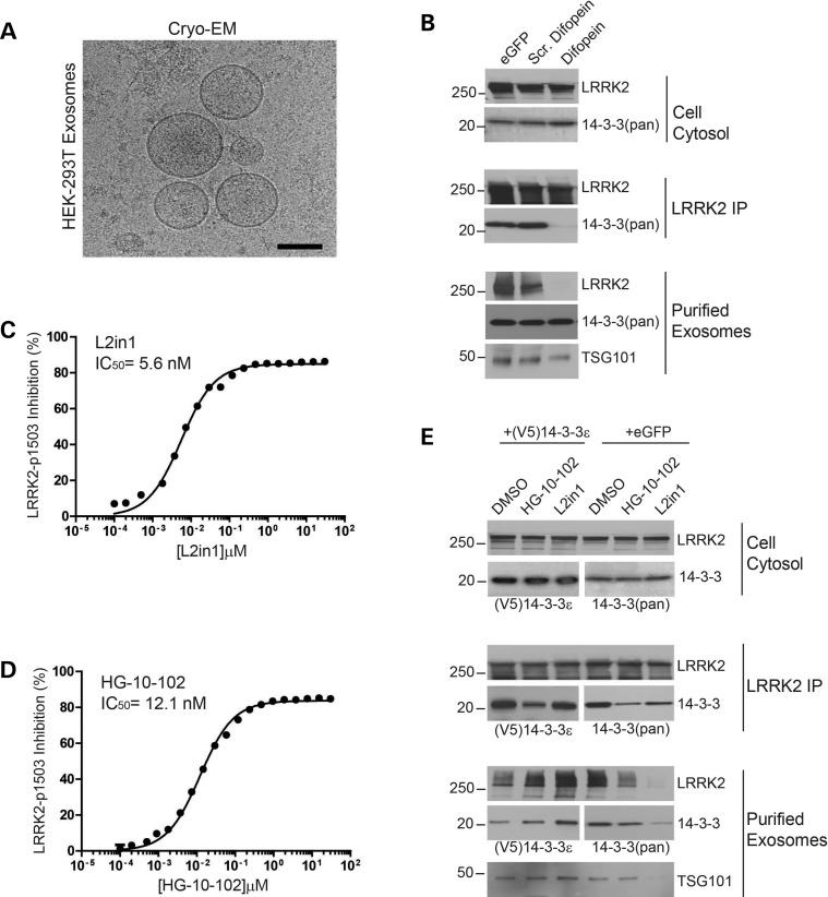 Figure 3.