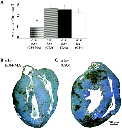 FIG. 5.