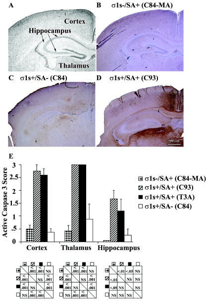 FIG. 9.