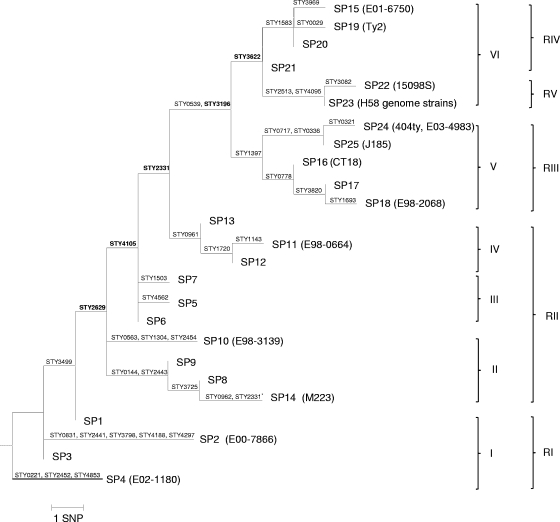 FIG. 1.