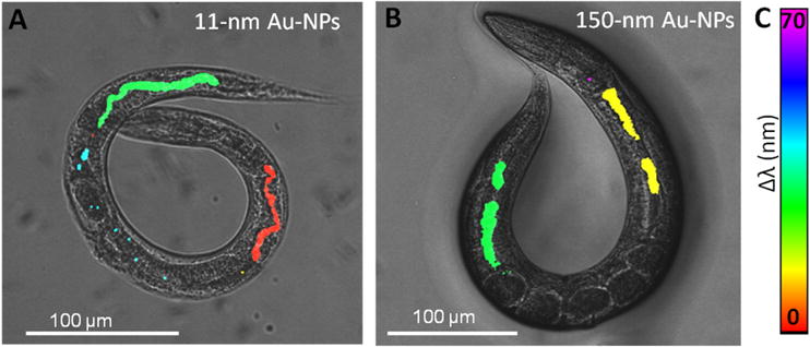 Figure 11