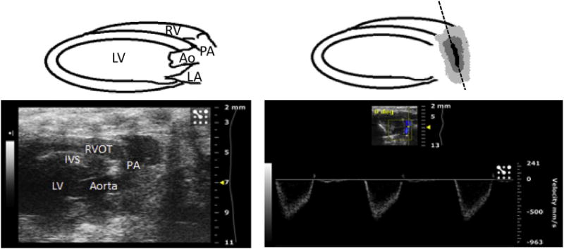 Fig. 5