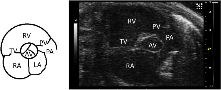 Fig. 3