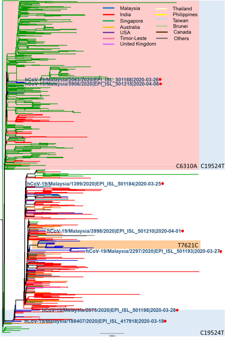 Fig 3