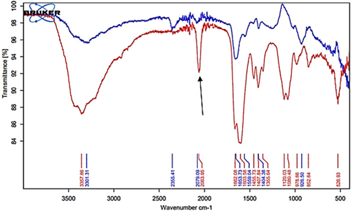 Figure 6