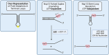 Graphical Abstract