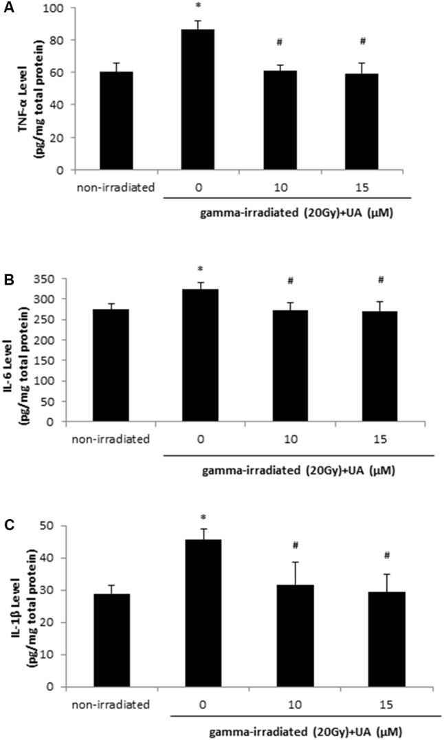 FIGURE 4