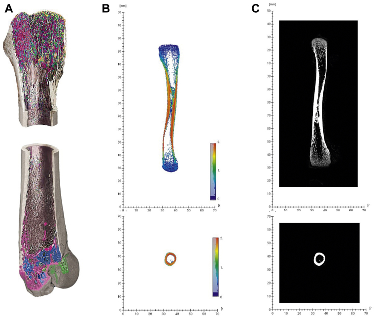 Figure 1