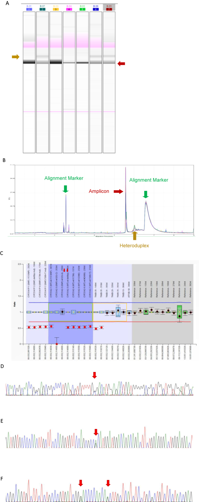 Figure 2: